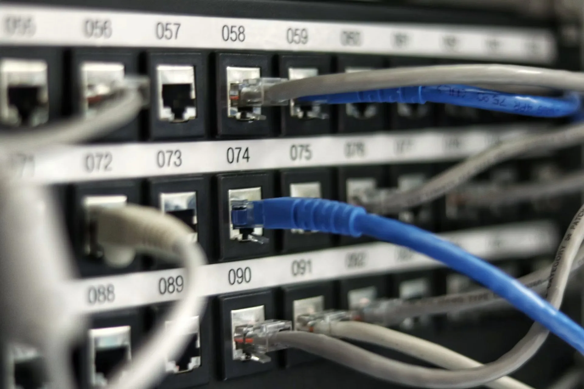 Blue and gray network cables connected to numbered ports.
